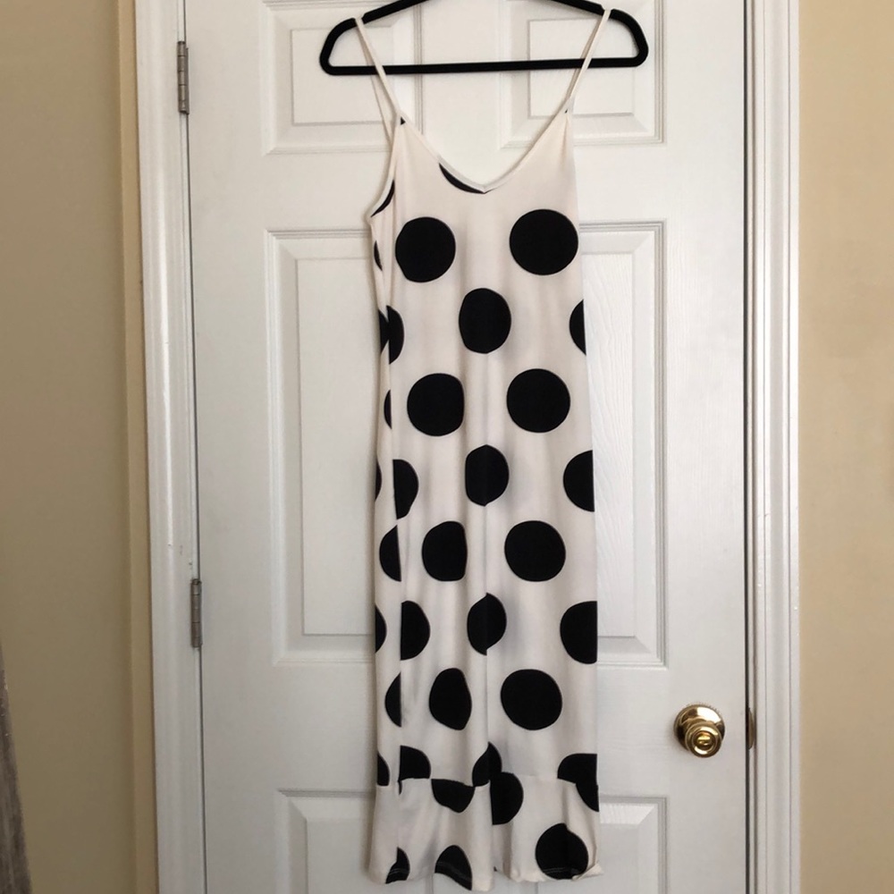 Dottie - Picture 2 of 3